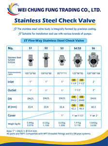 Válvula de Retención de Resorte SUS304 con Rosca NPT, Antirretorno de 1" x 1" de Acero Inoxidable para Tuberías de Sistemas de Agua, Soporte OEM ODM, PN16 - Product Image 6