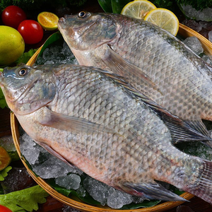 Filetes de Pescado Congelados de Primera Calidad, Suministro al por Mayor, Grado Alimenticio, Listos para Enviar, Proveedor de Exportación de Alta Calidad - Product Image 2