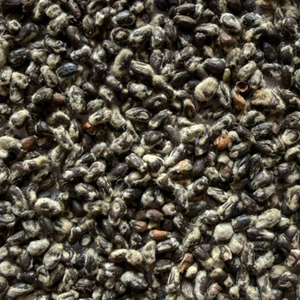 Graines de coton de qualité supérieure - Marque d'exportation mondiale - Origine Afrique du Sud - Longue durée de conservation - Approvisionnement en vrac pour l'extraction d'huile et l'alimentation animale - Product Image 2