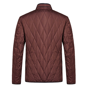 Chaqueta Acolchada Marrón para Hombre, Cuello Alto, Corte Regular, Color Sólido, Poliéster, Resistente al Viento, Corte Ajustado, Abrigo de Otoño - Product Image 2