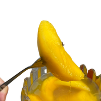Hete Verkoop Concurrerende Prijs In Vietnam Ingeblikt Fruit Zoete Ingeblikte Mango In Siroop Conservering Blikjes Met 580Ml Verpakking