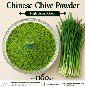 โรงงาน HGO จัดจำหน่ายโดยตรง ผงกุยช่าย (Allium tuberosum) เกรดอาหาร ผงผักอบแห้งแบบพ่นฝอย / ผงกุยช่ายจีนแบบฟรีซดราย - Product Image 1