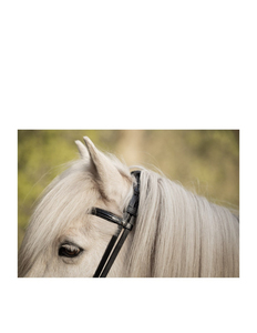 Bridon en cuir naturel tressé à la main avec perles multicolores, réglable, pour équitation, avec frontale droite - Product Image 3