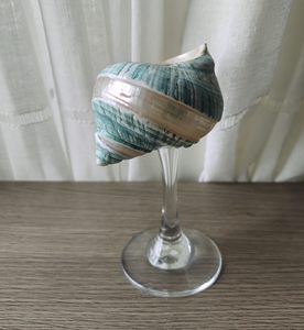 SeaShell <b>Wine</b> Glasses Personalized Wedding Bridesmaid Gifts Bridal Gift-Giving Events Party <b>Goblets</b> Anniversary Gift - Product Image 5