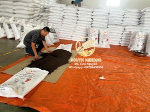 พริกไทยดำขายส่ง 500/550 GL คุณภาพสะอาด โรงงานเวียดนาม ASTA อายุการเก็บรักษา 2 ปี 25 กก. ผู้จัดจำหน่ายและผู้ผลิต Eira Nguyen - Product Image 4