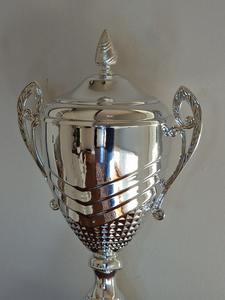 Trofeo Metálico de Diseño Único Más Vendido para Competiciones de Innovación y Tecnología Disponible a Buen Precio - Product Image 2