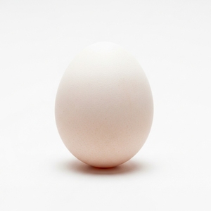 Œufs de poule de table frais, de première qualité, en coquille blanche, triés et emballés pour la vente en gros, en cartons pour les supermarchés. - Product Image 3