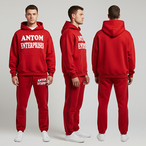 Vente flash : Survêtements pour hommes, coupe classique, à capuche, décontractés, unis, 100% coton, poids lourd 460g, respirants, excellente qualité, hiver - Product Image 1