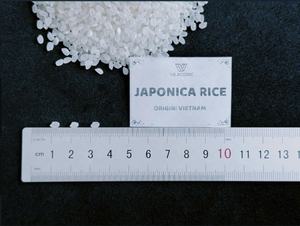 Riz japonica de haute qualité pour sushi | Riz blanc à grains courts Vietnam | Idéal pour l'exportation de sushis en gros - Product Image 5
