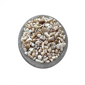 Vente en gros de copeaux d'agate de bambou blanc poli, cristal concassé 3-5 mm pour la décoration de la maison et des fêtes par AMAYRA CRYSTALS EXPORTS INDIA - Product Image 1