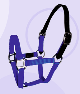 ROYAL INTRNATIONAL Harnais de cheval en nylon PP durable de qualité supérieure, harnais de cheval occidental, têtière réglable, convient à toutes les tailles - Product Image 3