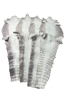 Cuir de grain <span class=keywords><strong>Croco</strong></span> Himalaya de haute qualité de l'usine du Vietnam-Ngoc Son cuir exotique pour les sacs à main de mode chaussures et ceintures - Product Image 4