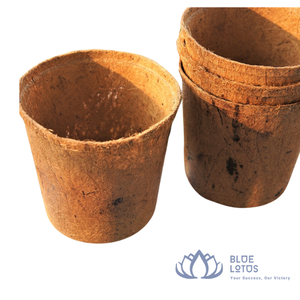 Natural Coco Coir Minimalist <b>Square</b> Design Biodegradable Eco-Friendly Flower Pot <b>Planter</b> Drainage Hole <b>Outdoor</b> Garden Use Not - Product Image 1
