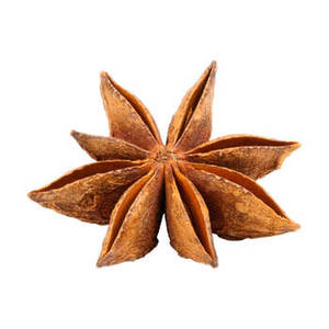 Anís estrellado indio premium en cápsulas secas para distribuidores de servicios de alimentos, compradores al por mayor y mercados de ingredientes comerciales - Product Image 2