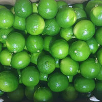 Wereldwijde marktvoorraad natuurlijke Vietnamese limoen, gesneden, gedroogd, 200gr verpakking, nieuwe frisse smaak, Mekong River Co. Ltd, 12 maanden houdbaarheid