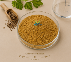 HGO Factory Fourniture directe d'extrait de graines de céleri naturel pur (qualité alimentaire) Spécification 10:1 (extrait de rapport) - Product Image 1