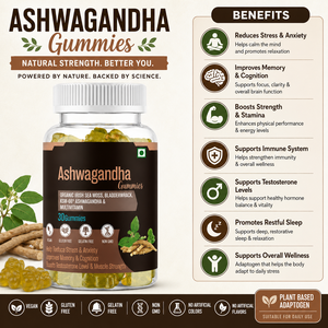 Ashwagandha gummies สมุนไพรพรีเมี่ยมพร้อมสารสกัดจากราก Ashwagandha สำหรับรองรับความเครียดผ่อนคลายและสมดุลอารมณ์ - Product Image 4