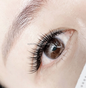 Extensions de cils plats PLUS en apesanteur UNIQUE LASH fait à la main ultra doux classique PBT 0.10-0.25mm 8-15mm artistes de qualité supérieure - Product Image 4