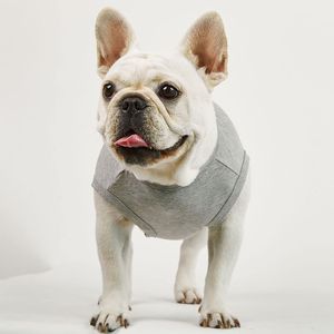 Customized Blank Pet <b>T</b> Shirt Classic Dog Apparel Colorful Puppy Outfits Soft Plain <b>Cat</b> Clothing Lightweight Fashion Outfit - Product Image 2