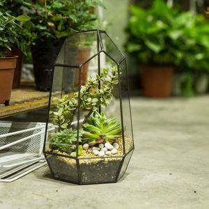 Terrario de Metal y Vidrio Negro Personalizado en Forma de Cabaña, Macetero de Vidrio para Plantas de Interior, Suculentas, Plantas Aéreas y Terrarios DIY - Product Image 4