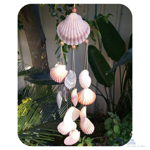 ชุดตกแต่งเปลือกหอยทะเลธรรมชาติรักษ์โลกขายดีที่สุด สำหรับงาน DIY ตกแต่งบ้าน ของชำร่วยงานปาร์ตี้ จากบลูโลตัส - Product Image 2