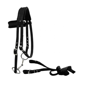 Harnais en cuir marron pour cheval avec quincaillerie dorée et plaque nominative - Product Image 3