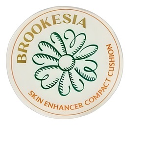 Base de maquillaje de alta cobertura No 1 Peach Beurukesia Skin Enhancer Compact Cushion Glow 12g SPF40 /PA - Product Image 3