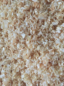 Virutas de madera de pino vietnamita secas en polvo directamente del fabricante y proveedor - Product Image 6