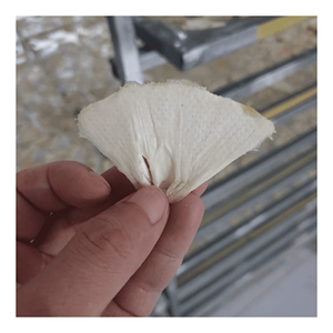 Soft Dried Soursop created from selected soursop <b>pulp</b> for snack consumption dessert making and food processing Vietnam - Product Image 5