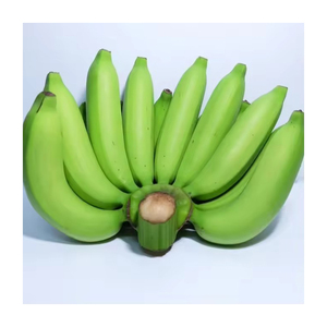 Plátano Cavendish Verde de Calidad de Exportación, Cosecha Fresca Premium para Suministro a Granel y Mercado de Comercio Internacional - Product Image 5