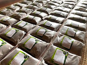 Polvo de Jalea de Hierba Negra de Fábrica, Polvo de Mesona de Vietnam, Polvo de Jalea Herbal para Procesamiento de Bebidas y Postres - Product Image 6