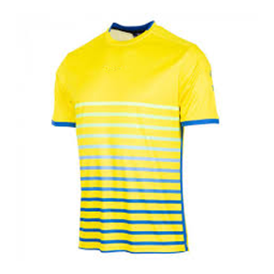 เสื้อยืดคอกลมแขนสั้นลายทางสีเหลืองน้ำเงินสำหรับผู้ชาย ทรงปกติ สไตล์ลำลอง พิมพ์ลายแบบซับลิเมชั่น ผ้าโพลีเอสเตอร์ 100% แห้งเร็ว - Product Image 3