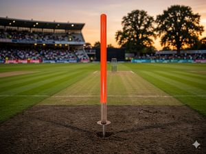 Wicket de cricket artisanal à cible unique, meilleure édition, équipement sportif, prix de gros, pour usage sportif de cricket, avec piquet de wicket - Product Image 5