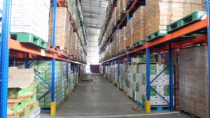 ขายส่งเครื่องดื่มโยเกิร์ตกล้วยมะพร้าว วินุท 280 มล. รับผลิตแบบ OEM ODM แบรนด์ส่วนตัว ฮาลาล น้ำผลไม้สดคั้น (บรรจุกระป๋อง) น้ำผักผลไม้ - Product Image 6