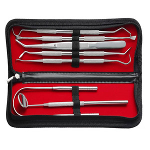 Kit de Blanchiment Dentaire en Acier Inoxydable, Instruments de Traitement pour Dentistes, Set de Grattoirs et Détartreurs, Miroir Dentaire - Product Image 2