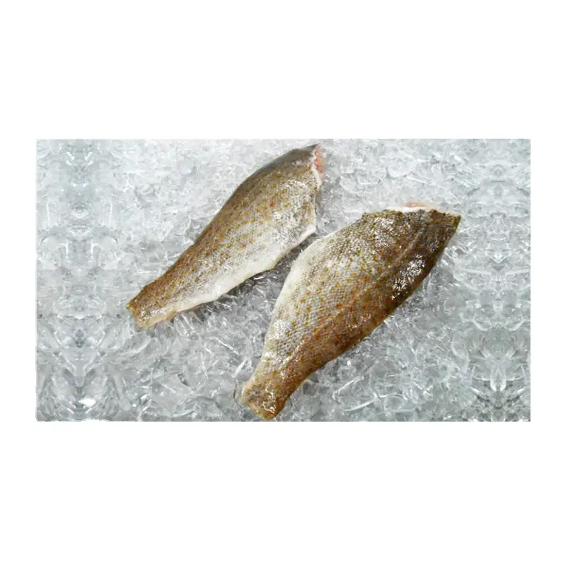 적절한 가격 최고 품질 도매 냉동 Grouper 물고기 인도네시아