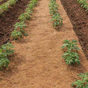 Coir coco Eco friendly mat for gardening Eco-Friendly Shaped Garden Planters - Product Image 1