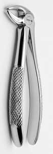 Forceps d'extraction dentaire pédiatrique, petite taille, bec étroit, poignée texturée pour molaires inférieures, acier inoxydable - Product Image 2
