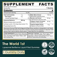 Gummies Liposomales de Berbérine Marque Blanche 500mg Sans Sucre Complément Alimentaire avec Extrait de Cannelle et de Melon Amer Gummies Véganes