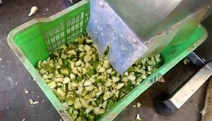 Machine industrielle de découpe de mangues brutes – Machine de découpe de fruits en acier inoxydable robuste pour l'industrie de la transformation des cornichons et des aliments - Product Image 2