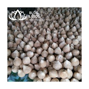 มะพร้าวแกะเปลือกคุณภาพสูง รสชาติบริสุทธิ์ น้ำในผลเยอะ - Product Image 1