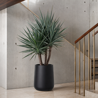 Pot de fleurs noir moderne, grand pot rond pour plantes d'extérieur et d'intérieur, support pour cactus et succulentes