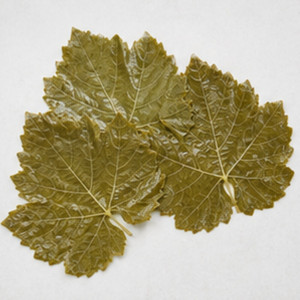 Wholesale Price Made In Vietnam Best Selling Delicious International Standard Grape leaves in brine In Bulk - Product Image 4