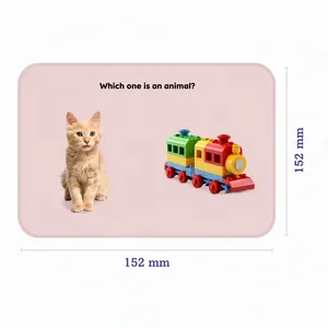 Tarjetas de preguntas, libros de aprendizaje temprano, juego de tarjetas de terapia del habla para niños pequeños y preescolares - Product Image 5
