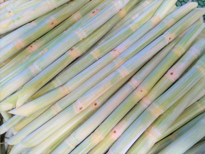 Morceaux de canne à sucre congelés pour l'extraction de jus commercial, nettoyés et transformés, matière première naturelle sucrée pour l'exportation mondiale en vrac - Product Image 5