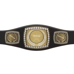 Custom Made Latest Arrival Lightweight Genuine Leather Wrestling Belt with Brass Metal Plates Quick Sports Belts - Product Image 4