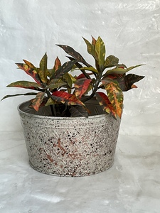 Round Metal Flower Pot <b>Tray</b> with Diamond Pattern Galvanized Finish Retro Style for Indoor Outdoor Use - Product Image 4
