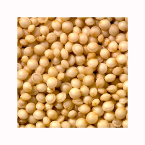 Wholesale Bulk Fresh White Quinoa Rich Premium Quality Stock For Large Volume B2B Trade Orders - Product Image 3
