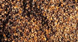 Vigi Farm Cáscara de Café Orgánica Premium, Piel de Grano Marrón, Fertilizante a Granel para Mejora del Suelo, Vietnam, Vida Útil de 12 Meses - Product Image 6
