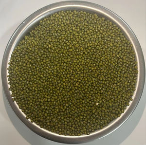 Meilleures ventes : Haricots mungo verts entiers Sortex, qualité supérieure pour l'exportation et la vente en gros - Product Image 1